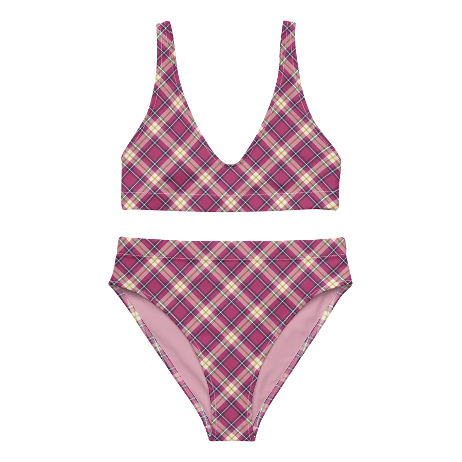 Raspberry Pink and Navy Plaid Bikini product image (2)