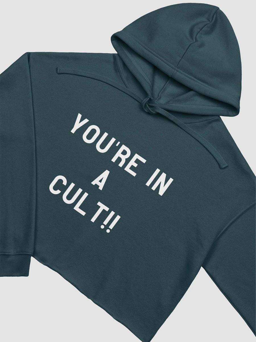 Pris- You're In A Cult -Bella+Canvas Fleece Crop Hoodie product image (20)