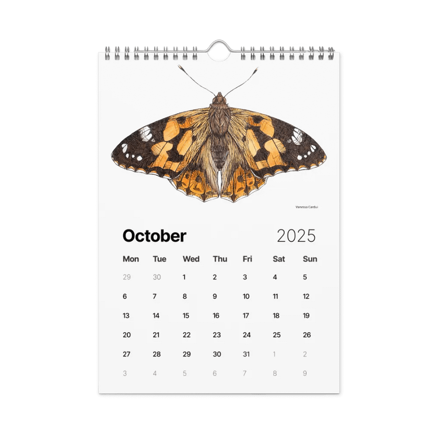 INSECTUM ABSTRACTUS - 2025 Calendar product image (12)