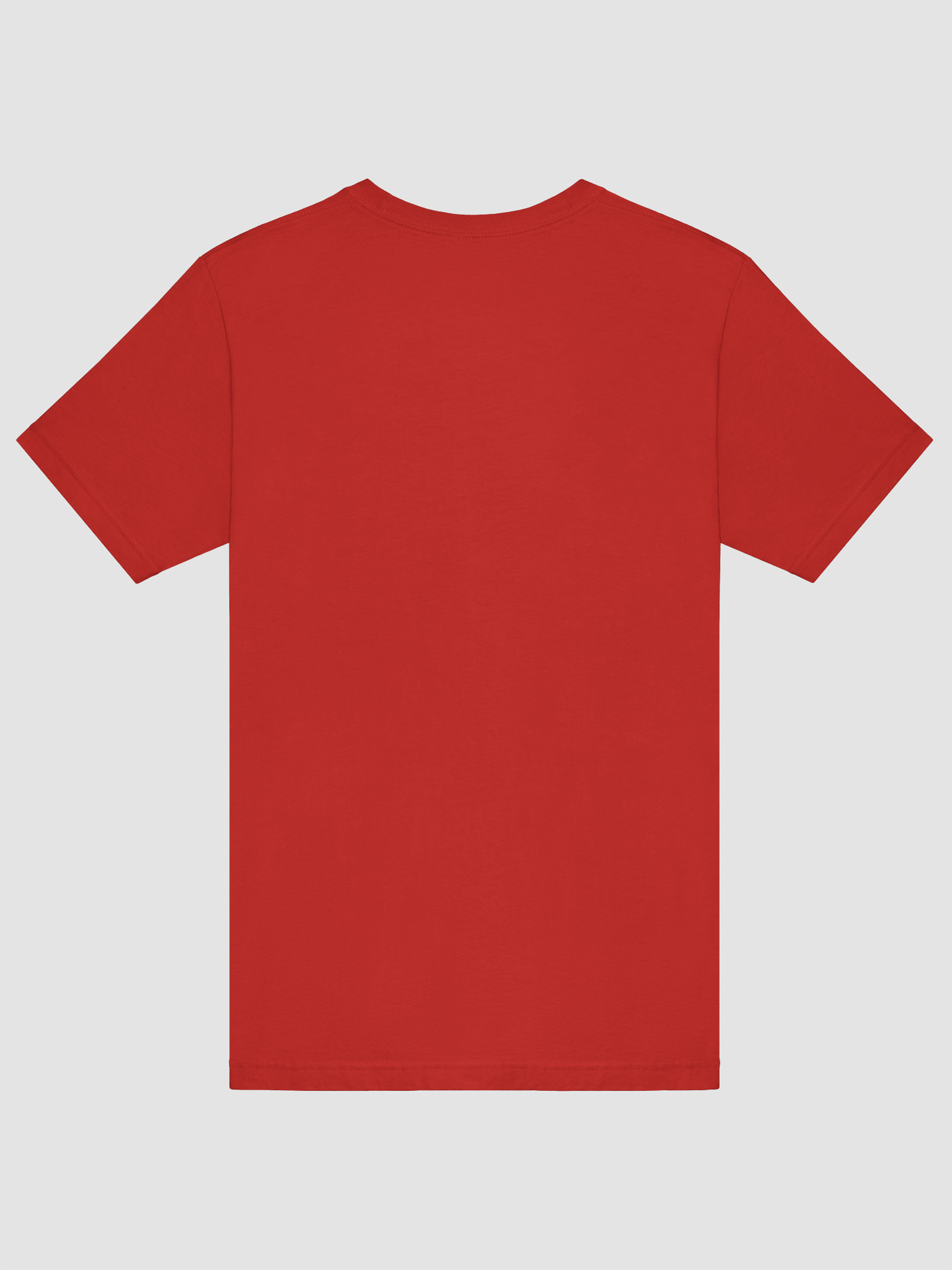 Enjoy Epicurus (Bella+Canvas Supersoft T-Shirt) product image (54)