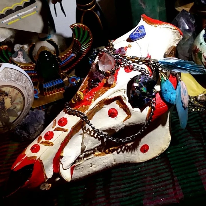 'Galactic Sow' Crystal Warthog Shaman Painted Skull product image (1)