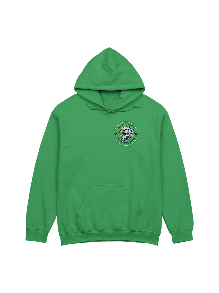 Go Birds, Fuck Ice, Free Palestine - Hoody product image (2)