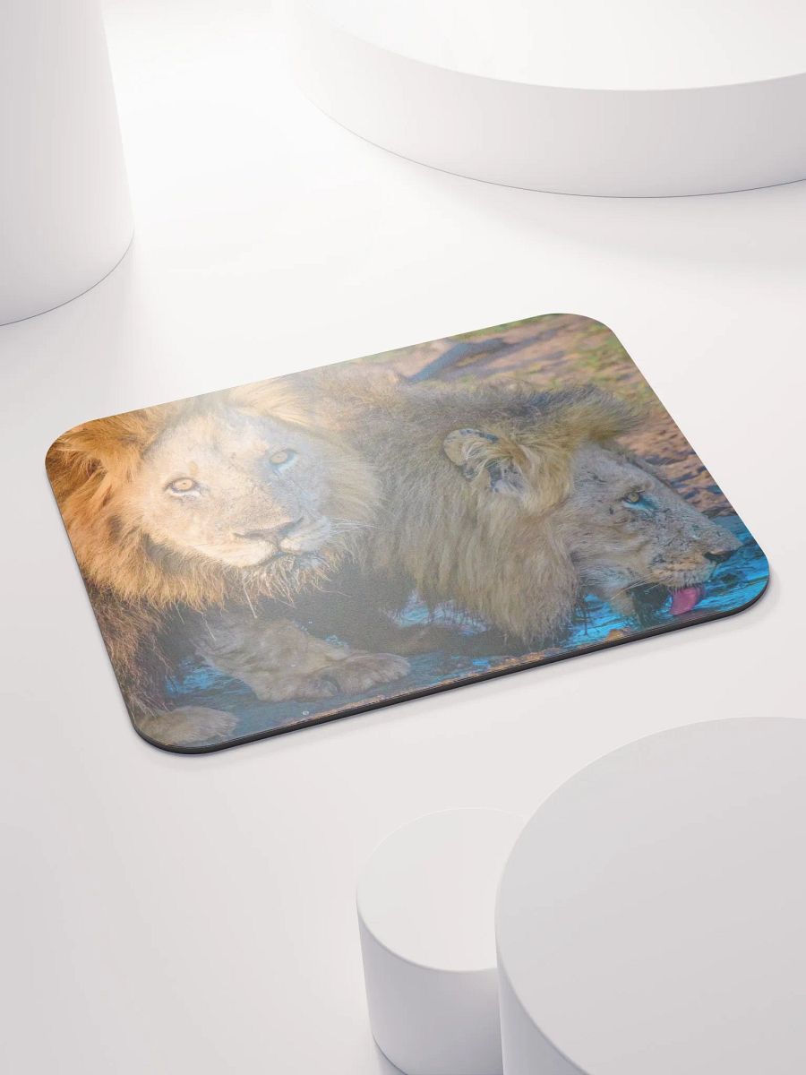Unique mouse pad with two male lions from Kruger Park product image (4)
