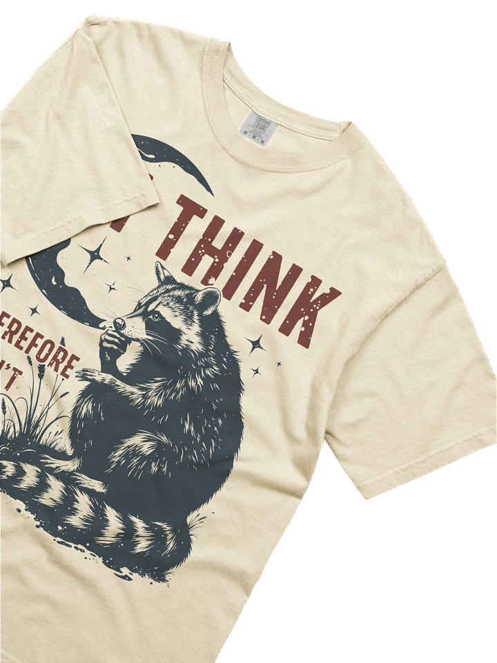 The Existential Crisis Raccoon Heavy Weight T-shirt product image (1)