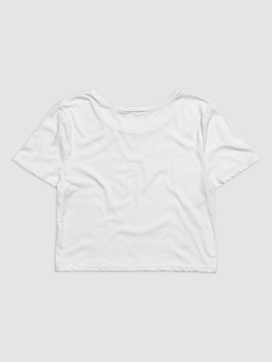 Sulphur Springs Crop Tee product image (2)