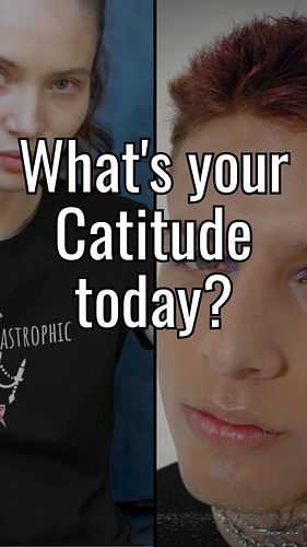 What's your catitude today? 
.
.
.
.

#catlovers #cattshirt #catsrule #catforever #catfashion #catgifts #fashionstyle