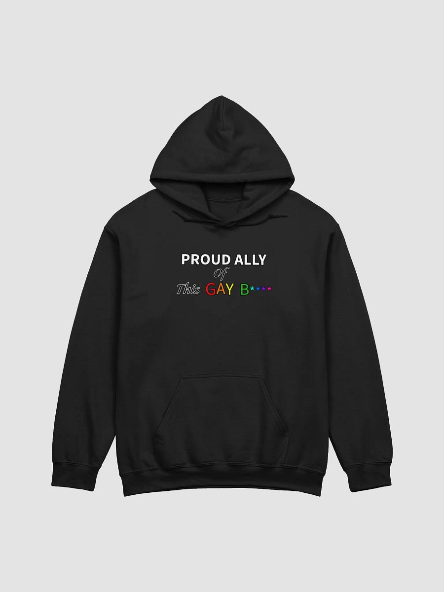 Pretty Proud Ally Hoodie (Gay) product image (5)
