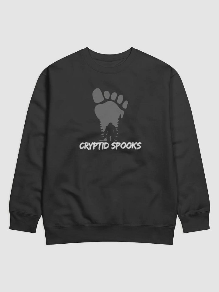 Cryptid Spooks - Sweatshirt product image (1)