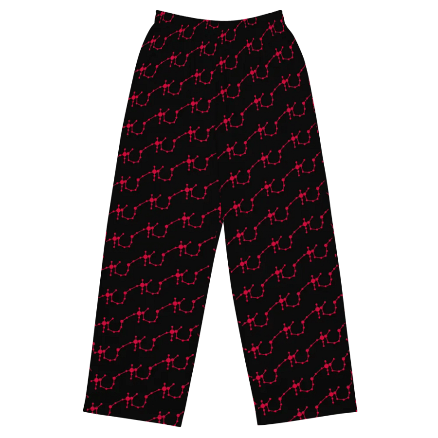 Regal Scorpio Unisex Wide-Leg Pants product image (1)