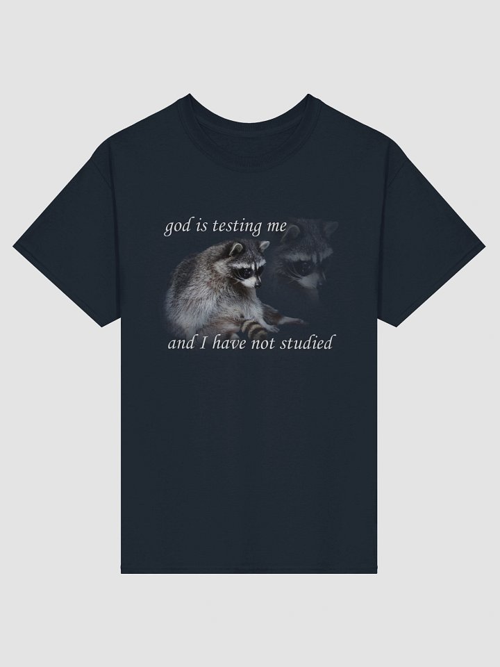 God is Testing Me Raccoon T-shirt product image (2)