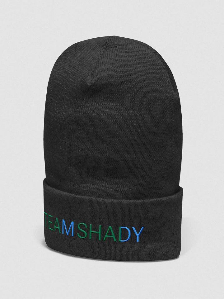 TEAM SHADY Cupped Beanie product image (6)
