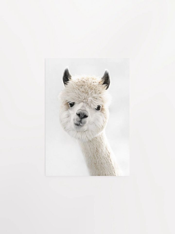 Cream Alpaca Dreams Matte Poster product image (14)