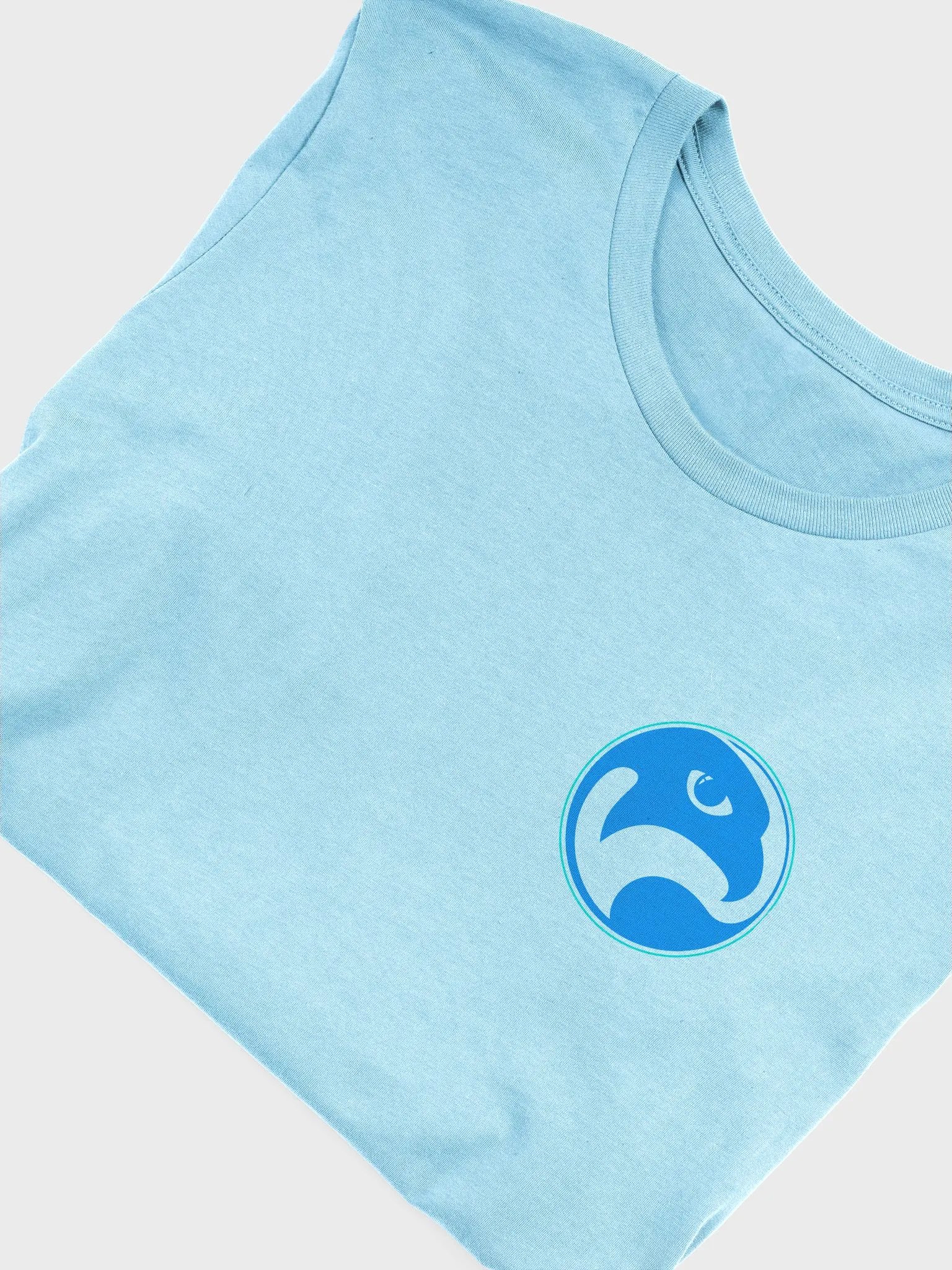 Falconeer T-Shirt product image (41)