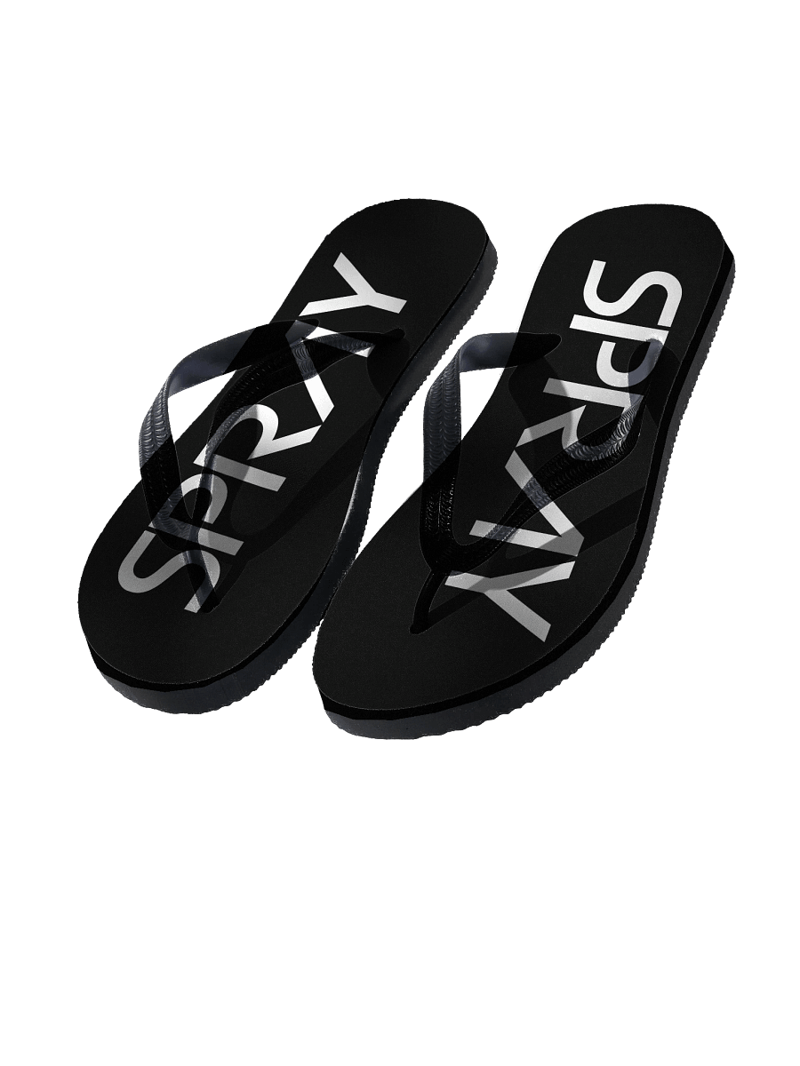 SPRAY - the flip flops product image (1)