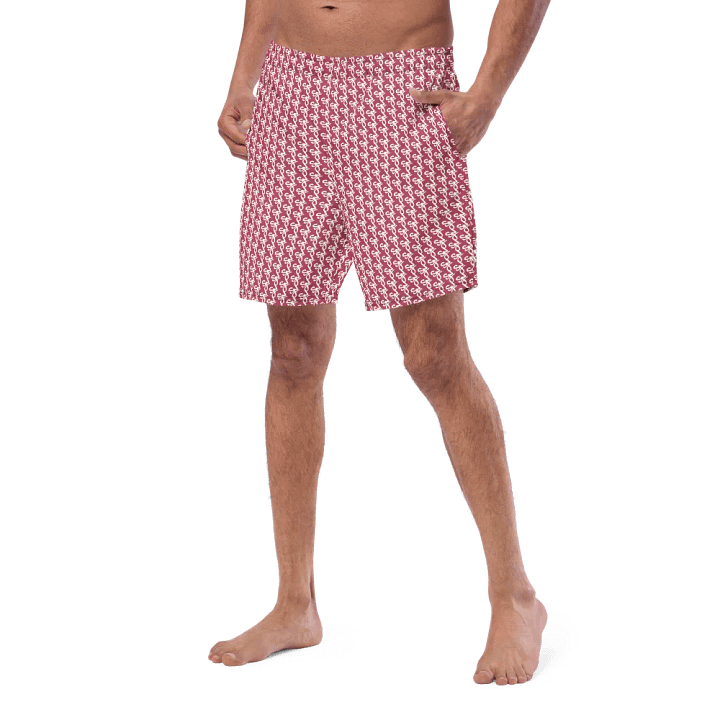 Syn-Stripe Trunks Red/White product image (1)