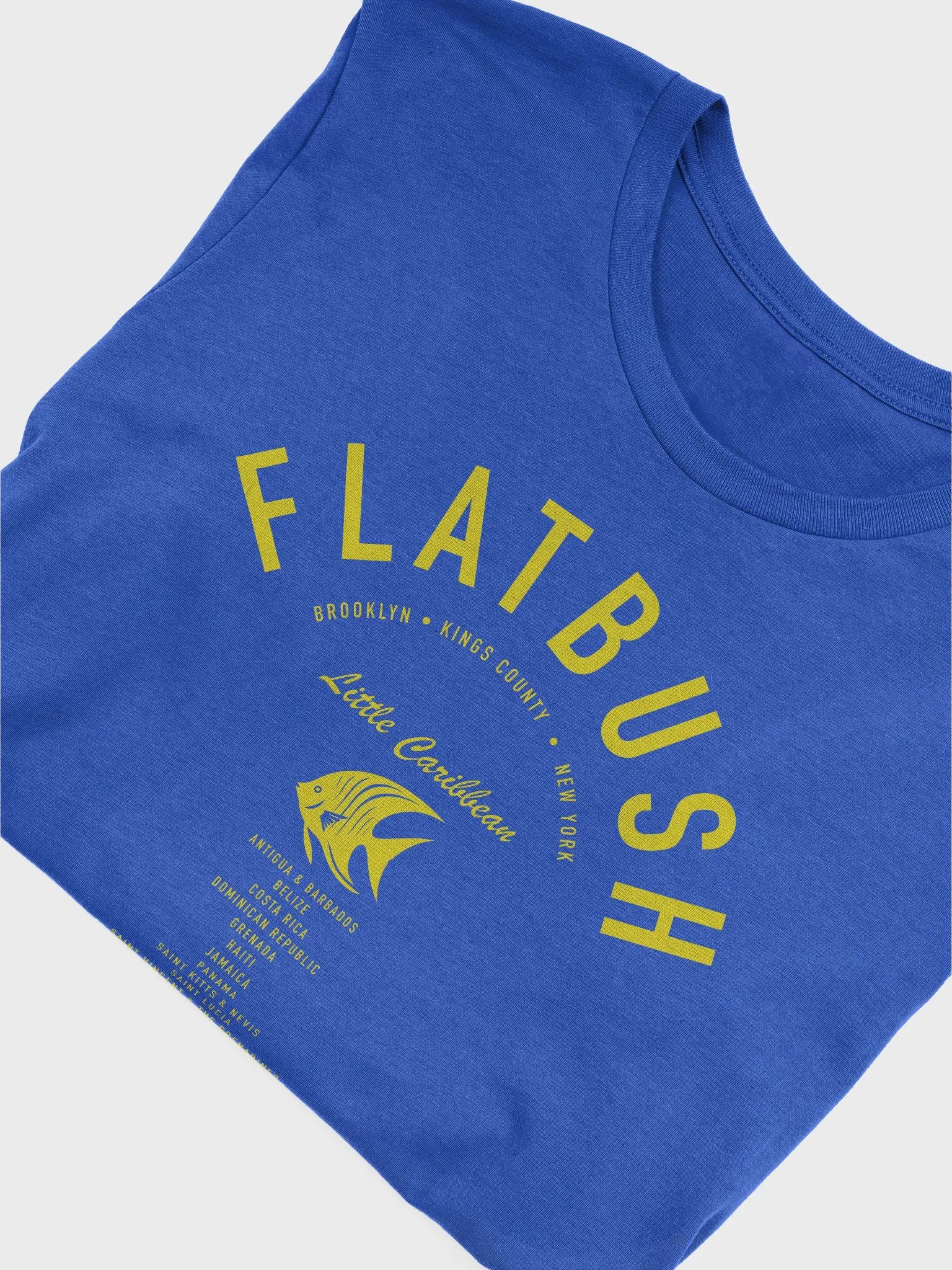 Flatbush Little Caribbean Barbados product image (5)