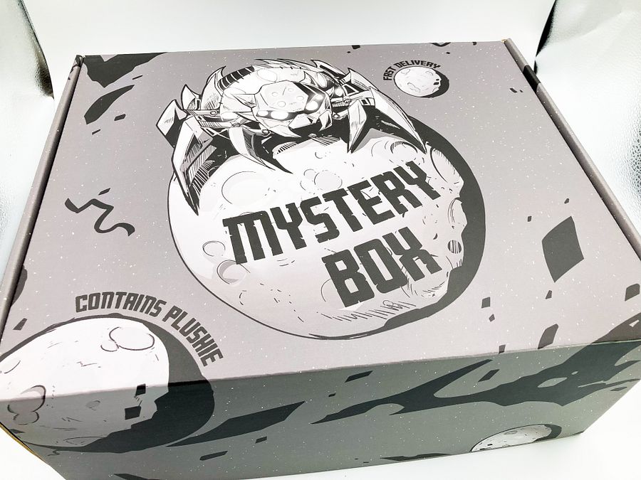 Mystery Box - THE EVERYTHING BOX product image (12)