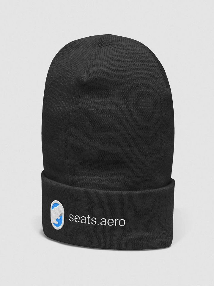 Beanie.aero product image (2)