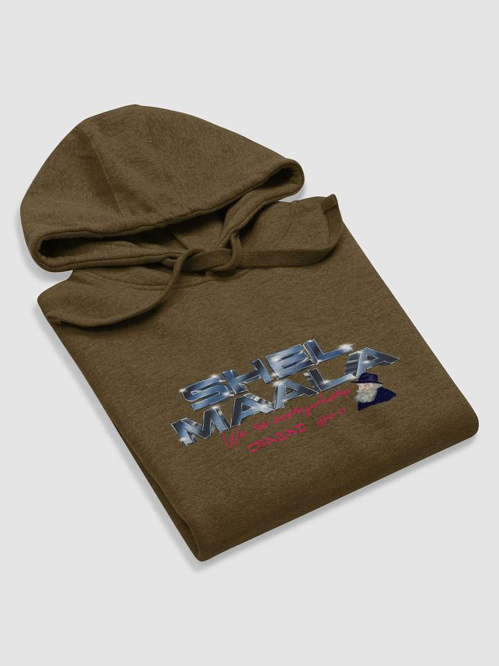 We're Everywhere Chabad Isn't Hoodie product image (26)