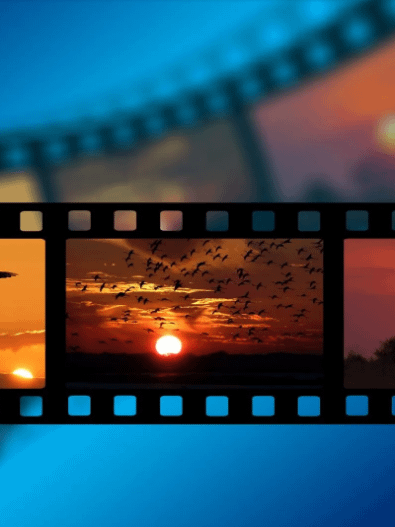 PHOTO FILM SERVICES product image (1)