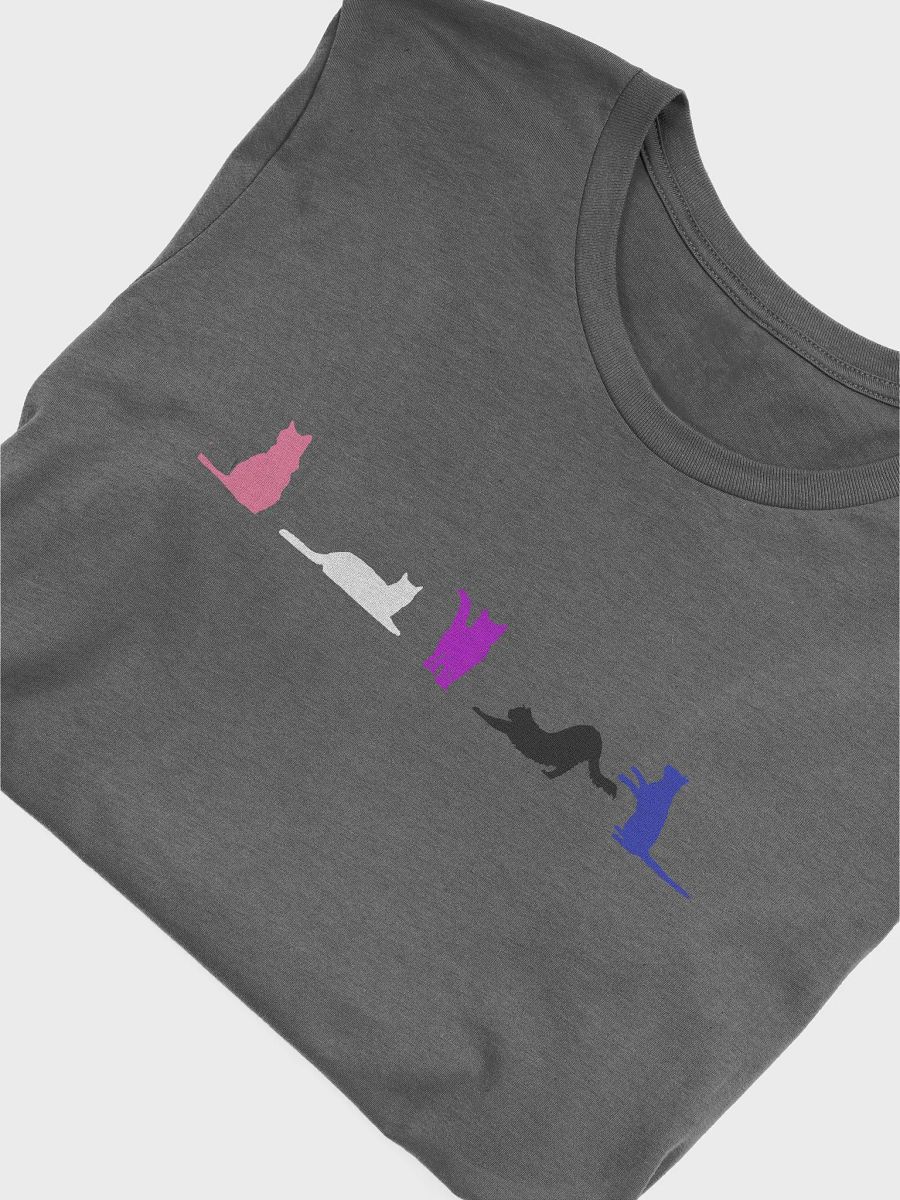 Genderfluid Pride Cats Women's Shirt product image (46)