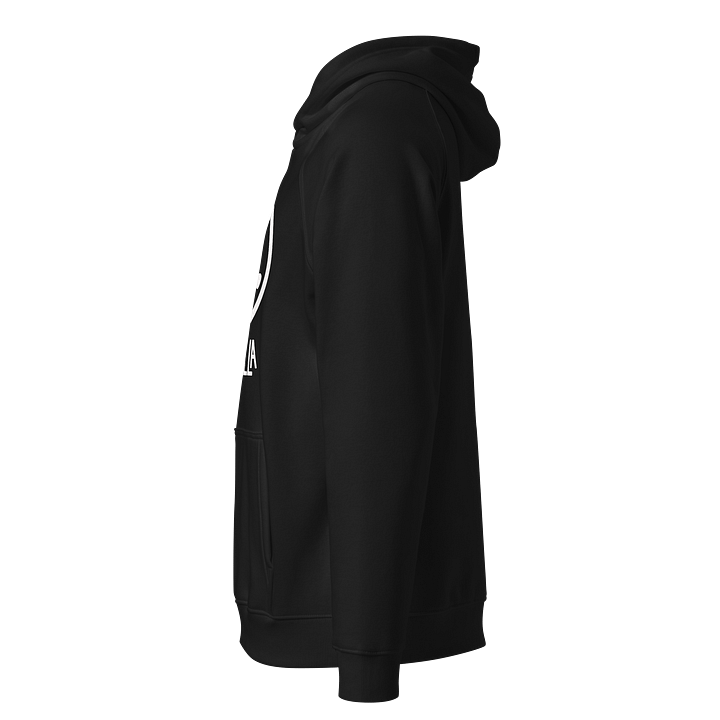 Zepparella SOL'S Unisex Eco Raglan Hoodie product image (5)