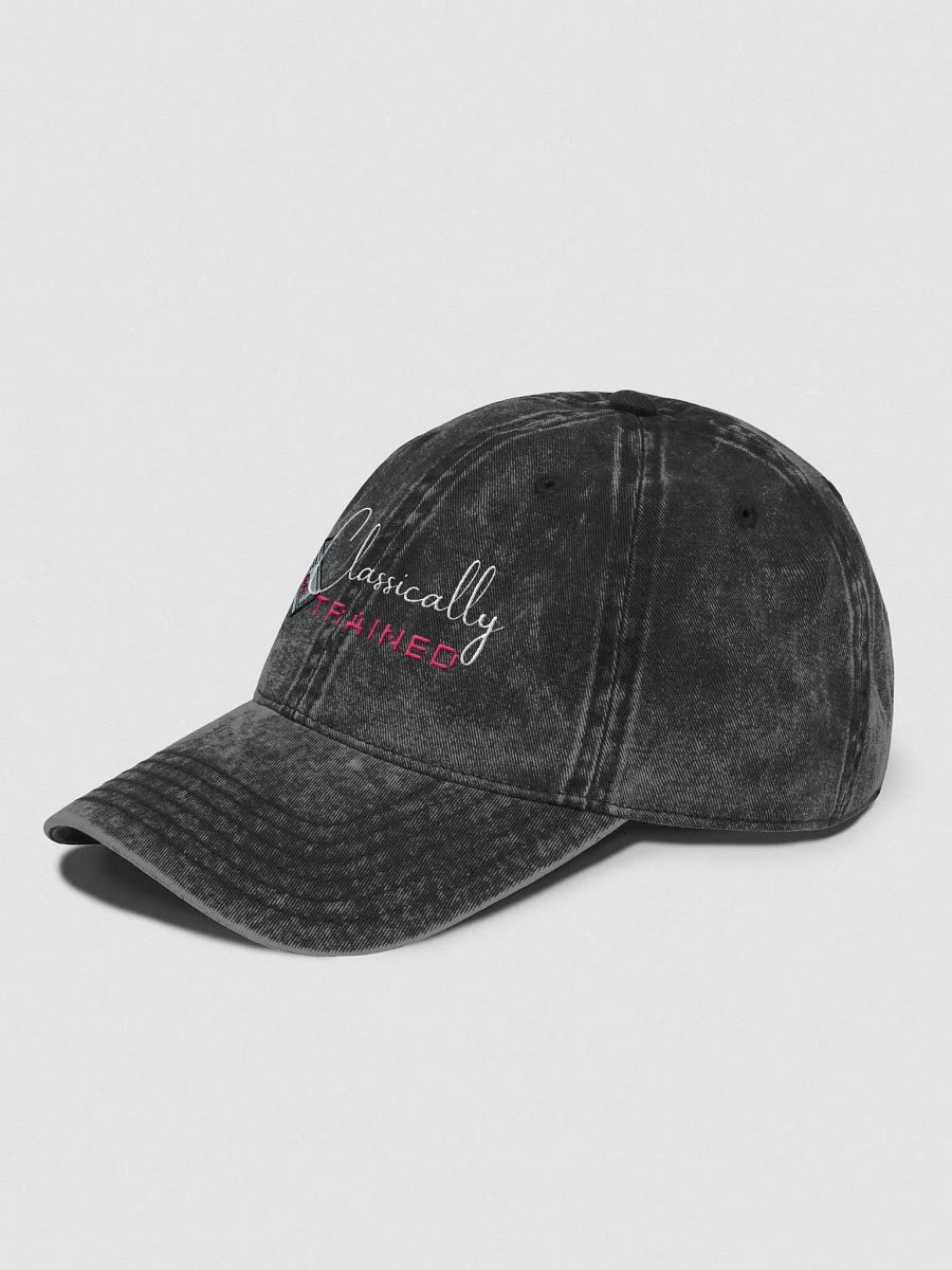 Classically Trained Vintage Hat product image (4)