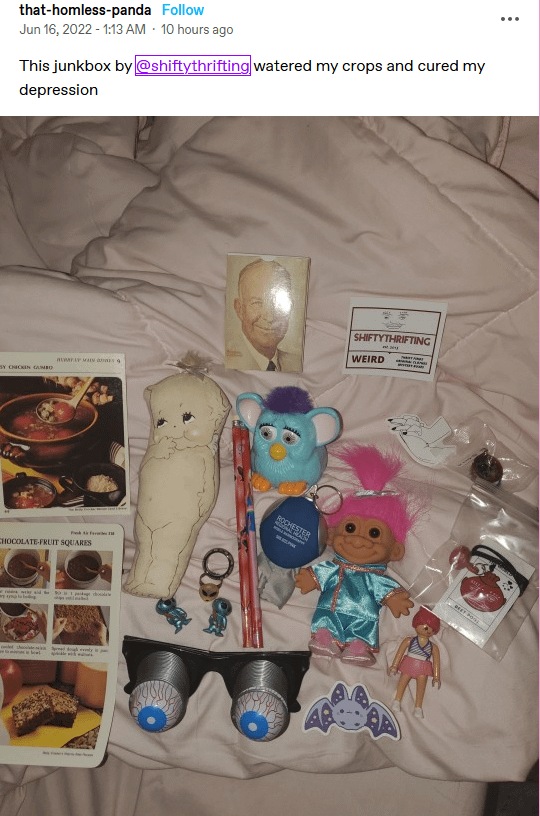 ShiftyThrifting Junk Box product image (6)