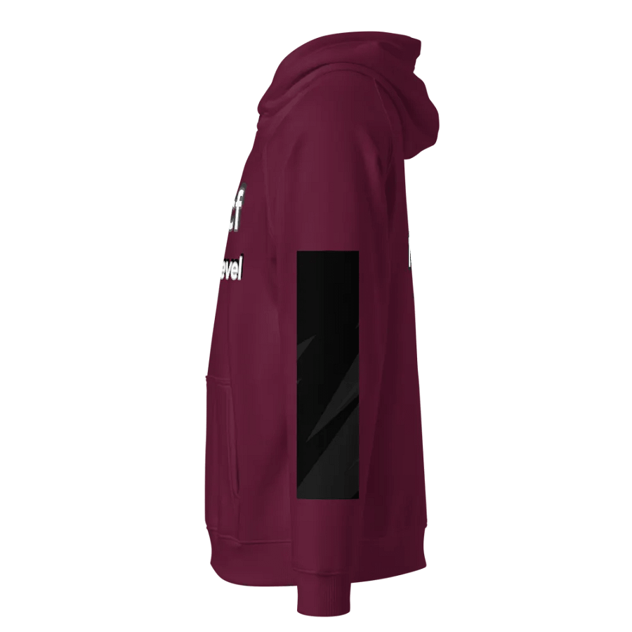 Elevate Your Style with 4frmcf Unisex Eco Hoodie product image (3)