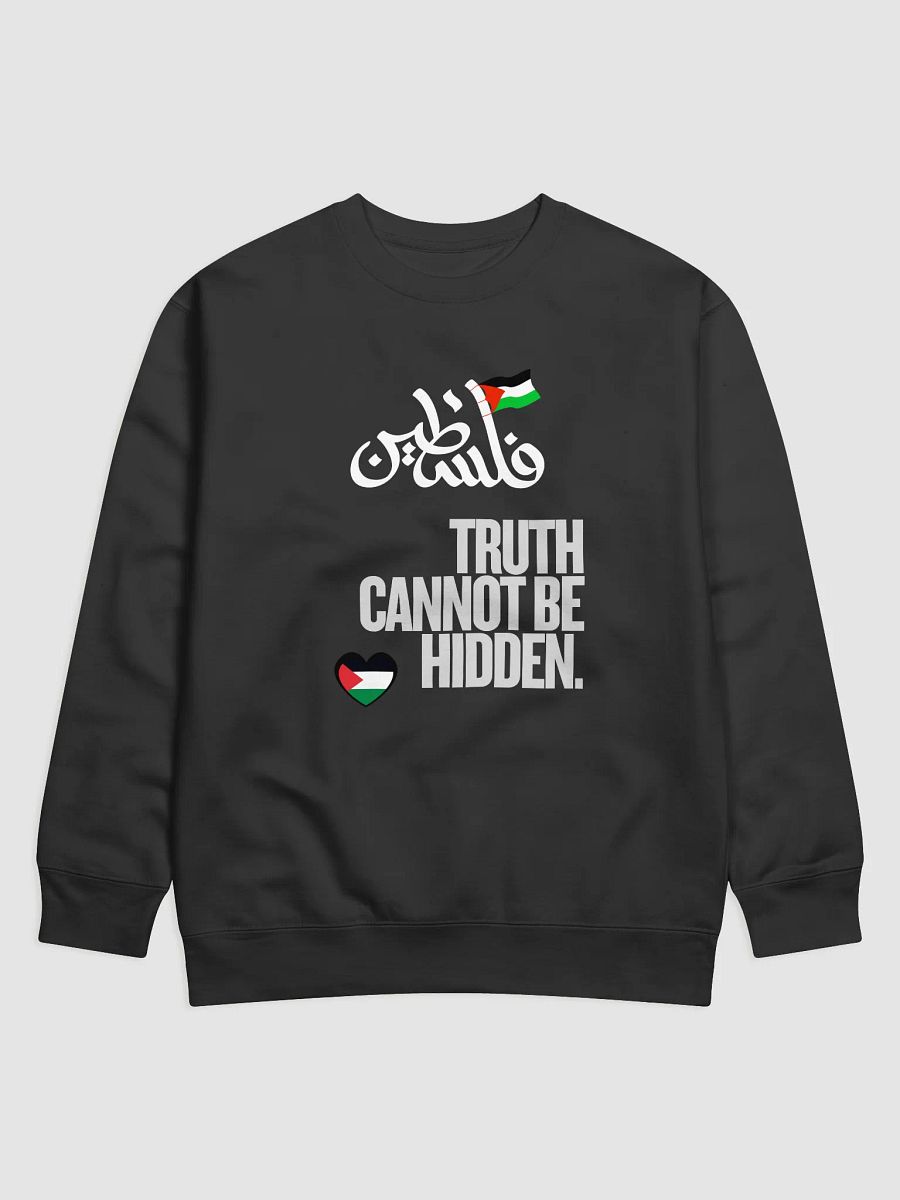 Palestinian Truth Statement Sweatshirt | Truth cannot be hidden product image (2)