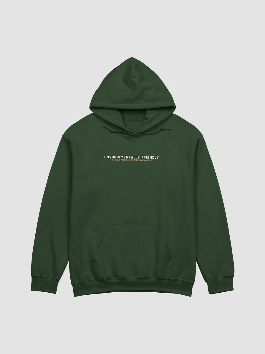 Eco-Friendly Hoodie product image (25)