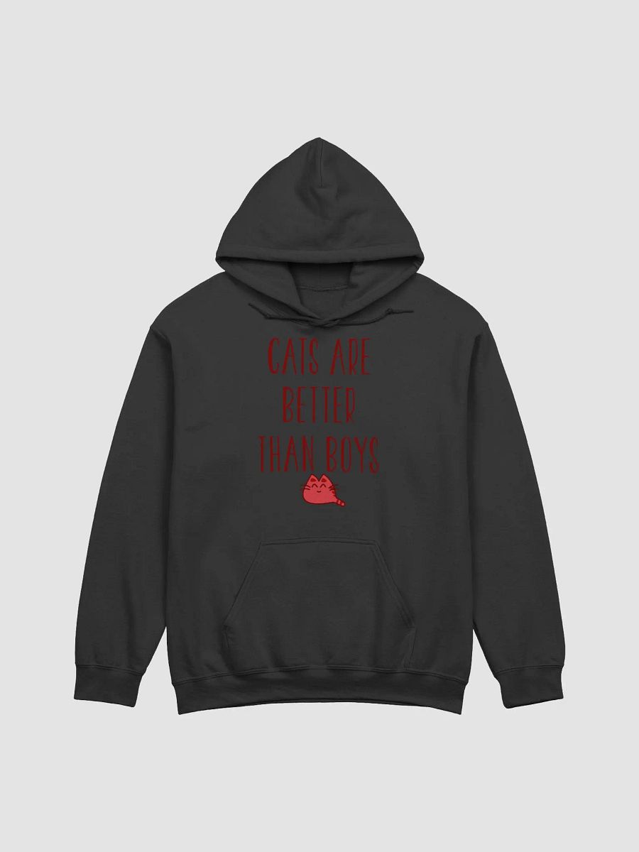 Cats are better than boys - hoodie product image (11)
