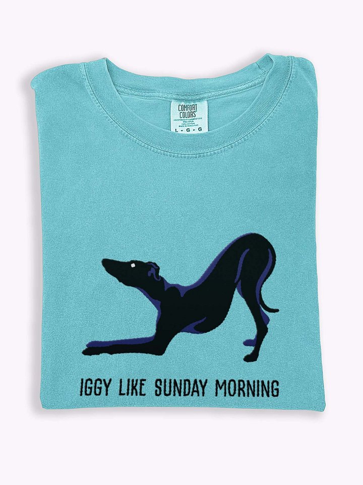 Iggy Like Sunday Morning T-Shirt(Embroidered) of an Italian Greyhound(Black) product image (1)