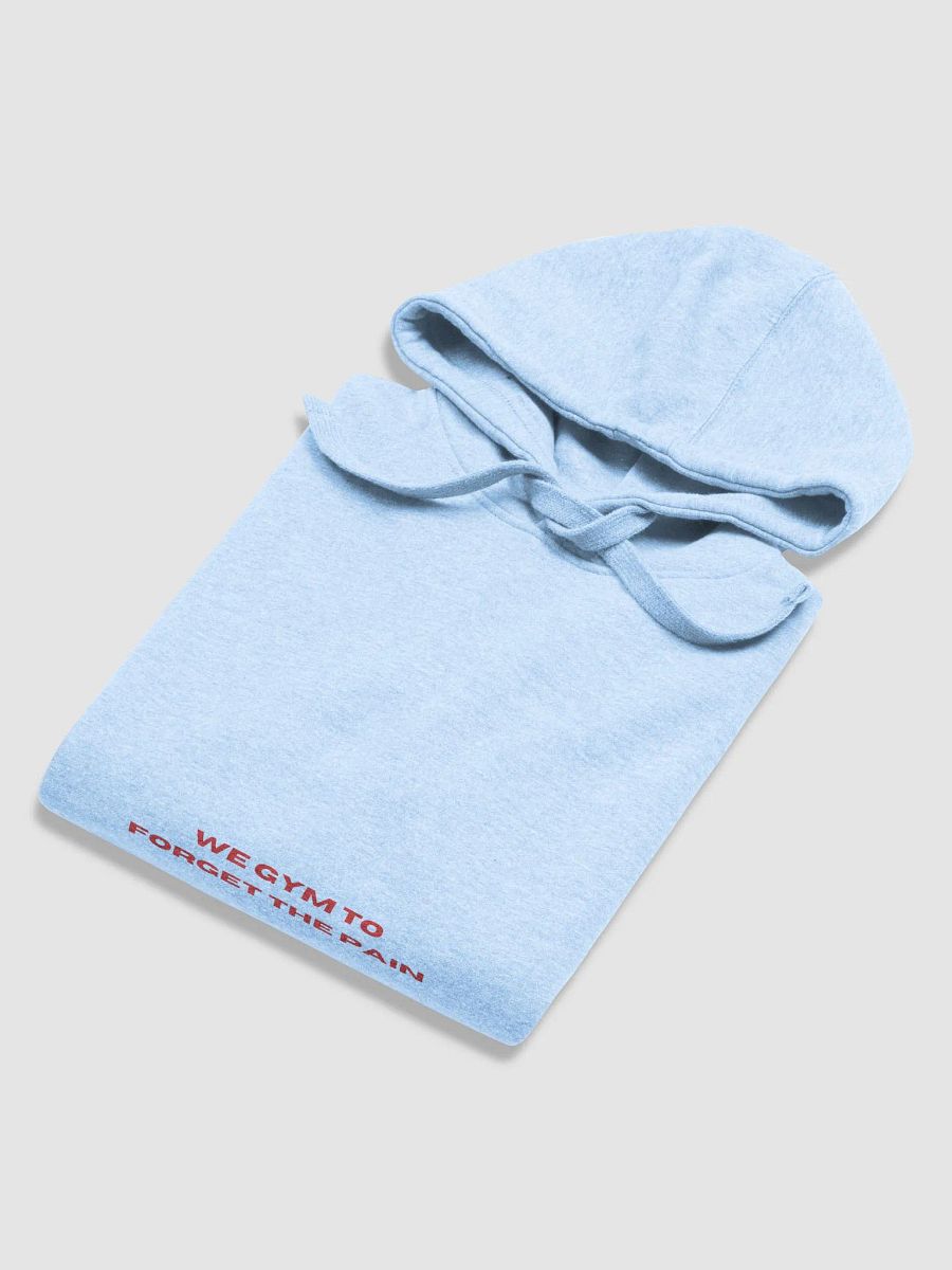 Determination & Resilience Hoodie product image (4)