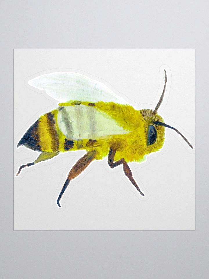 Big Bee product image (1)