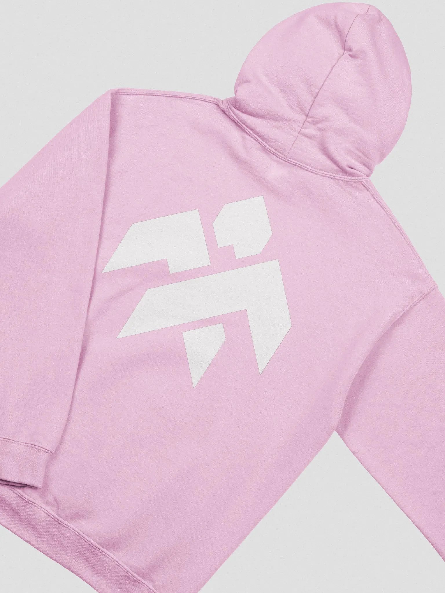 STYLLLL Hoodie (Turtle Logo on Back) product image (24)