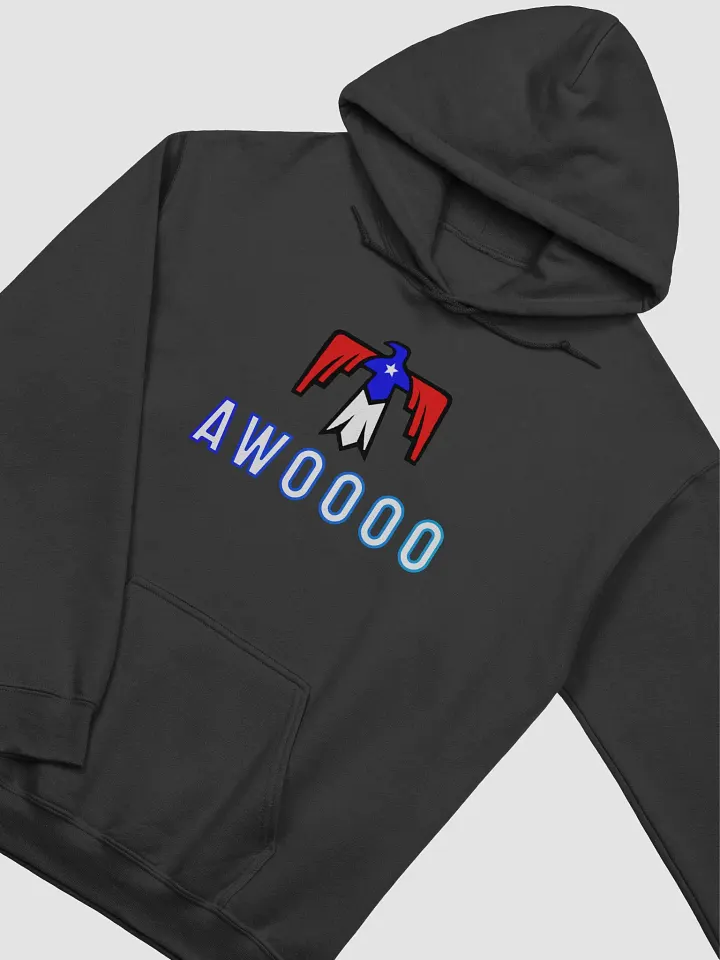 Texas Thunderbird Hoodie product image (2)
