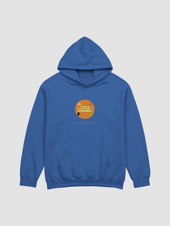 FFS Hoodie Royal - Felpa Royal FFS product image (1)
