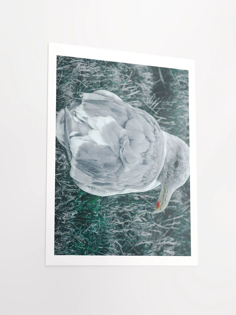 Seagull (my best buddy) product image (3)