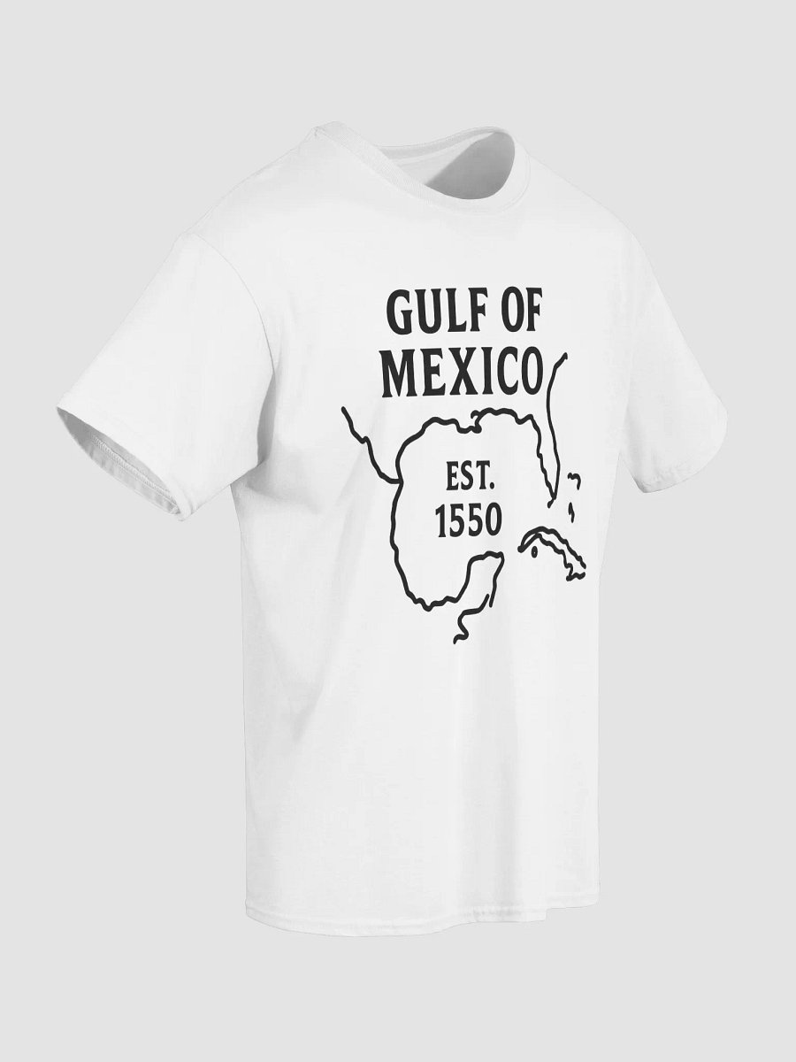 Modern Cartography Tee – Gulf of Mexico EST. 1550 Map Shirt product image (13)