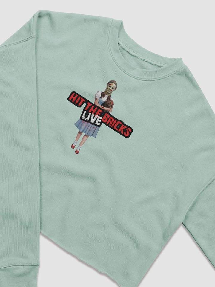 Hit the Bricks Crop Sweatshirt product image (13)
