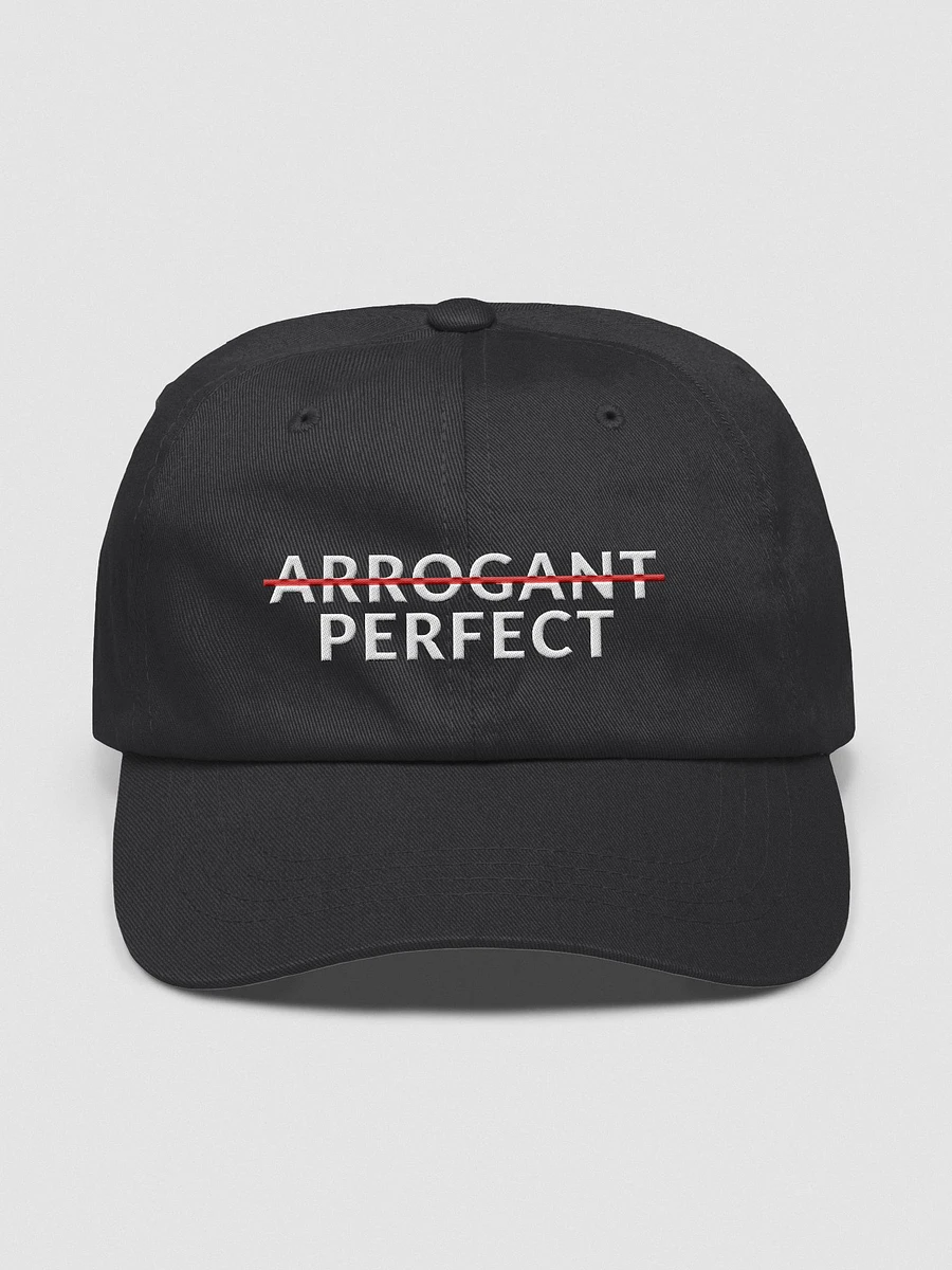 ARROGANT PERFECT - CAP product image (5)
