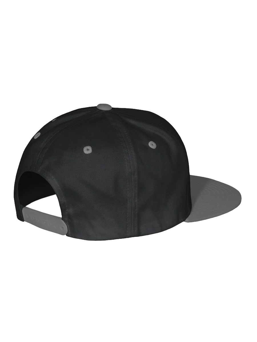 Two-Tone Logo Flat Snapback Cap product image (3)