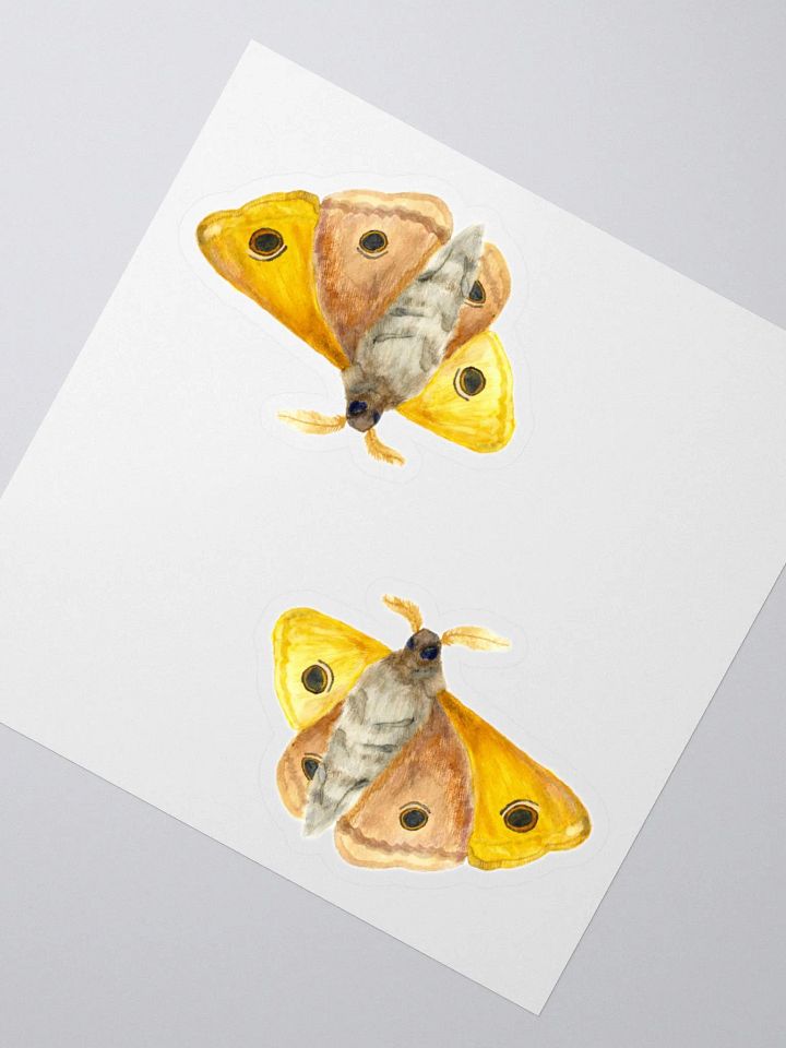 Small Emperor Moth Sticker (x2) product image (2)