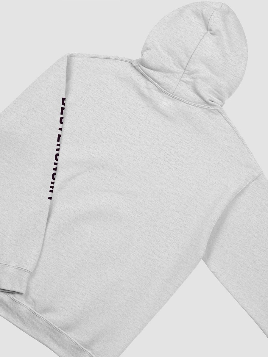 Scripture Couture: Deuteronomy Hoodie (Light Pallet Series) product image (2)