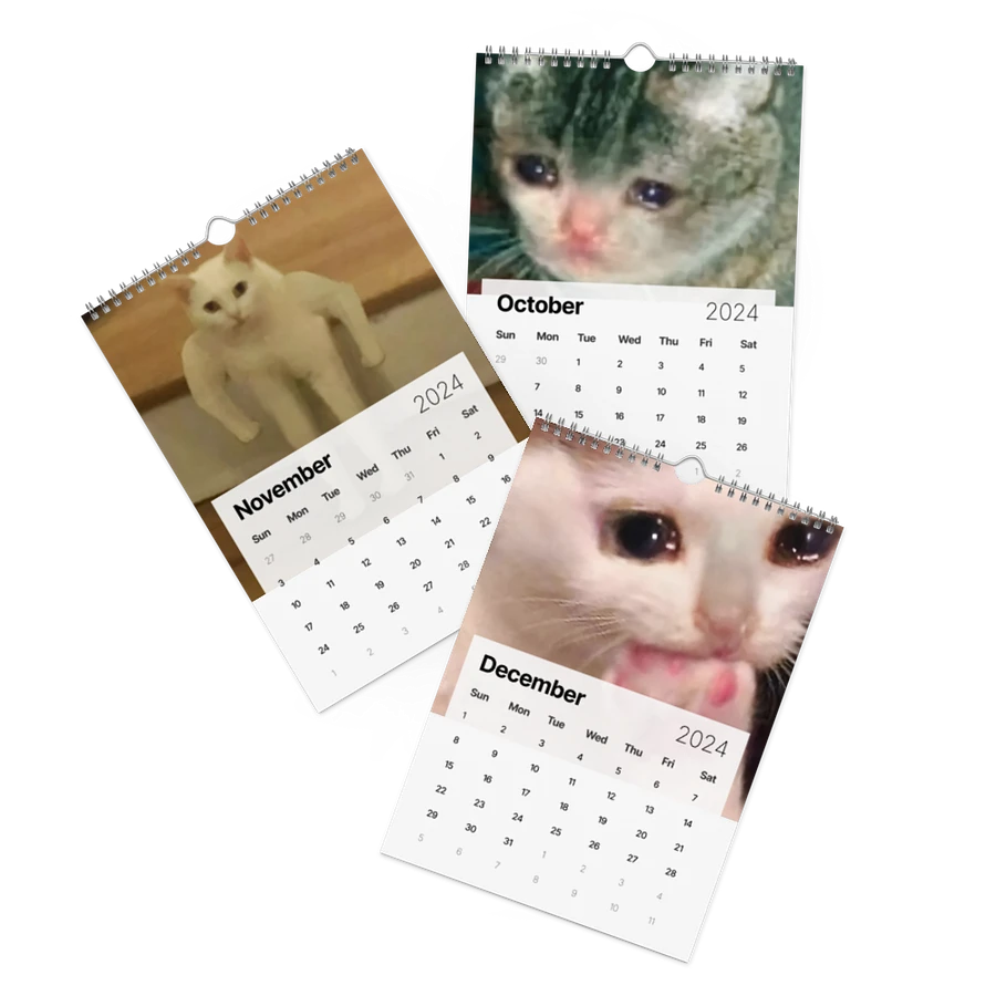 Wall Calendar (2024): Meme Cats product image (17)