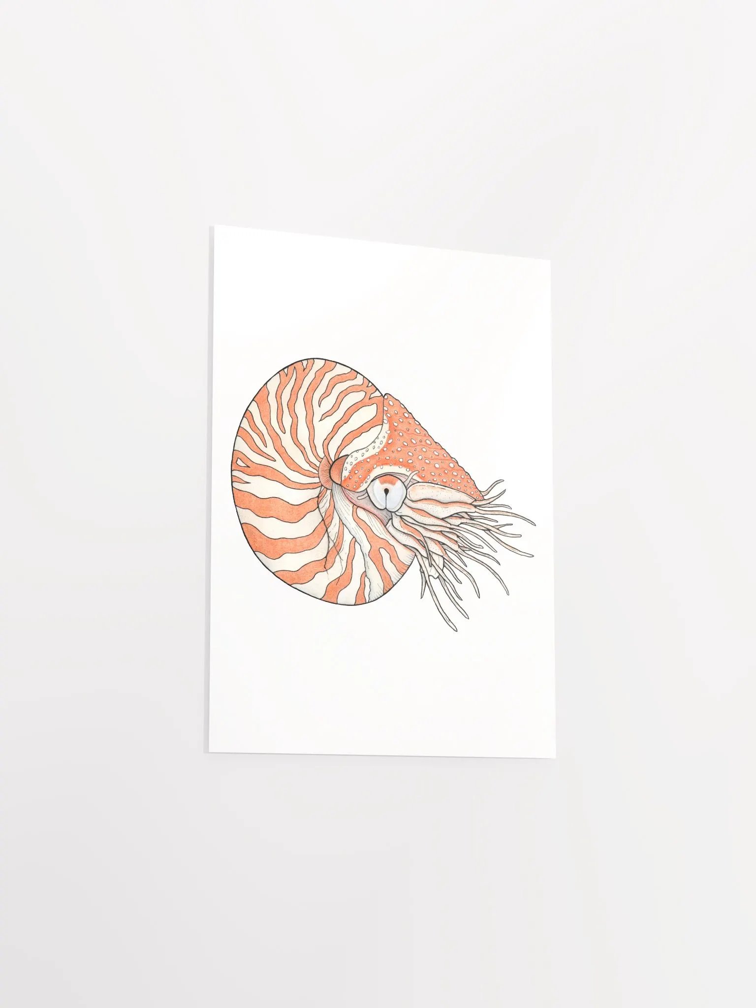 Ancient Mollusk print product image (3)