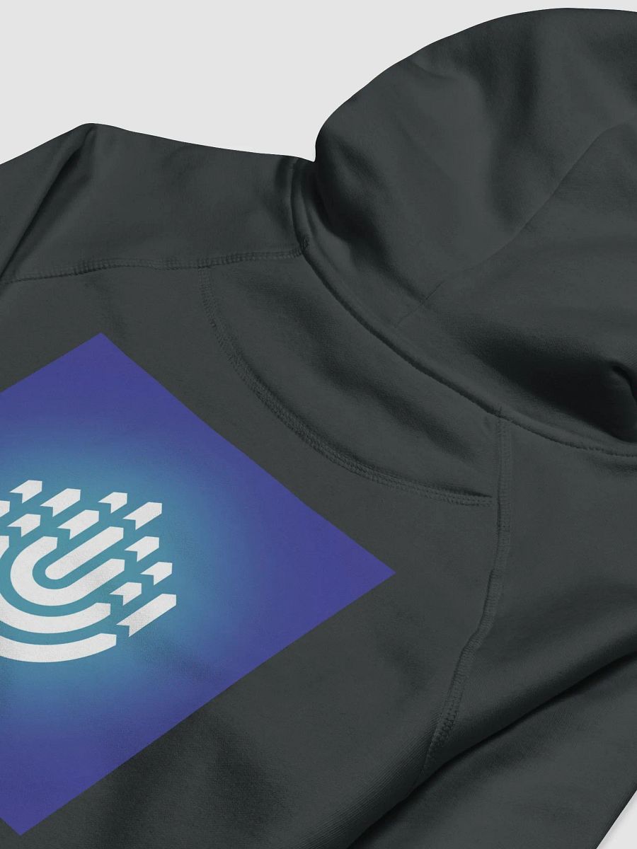 BBYO Hoodie product image (4)