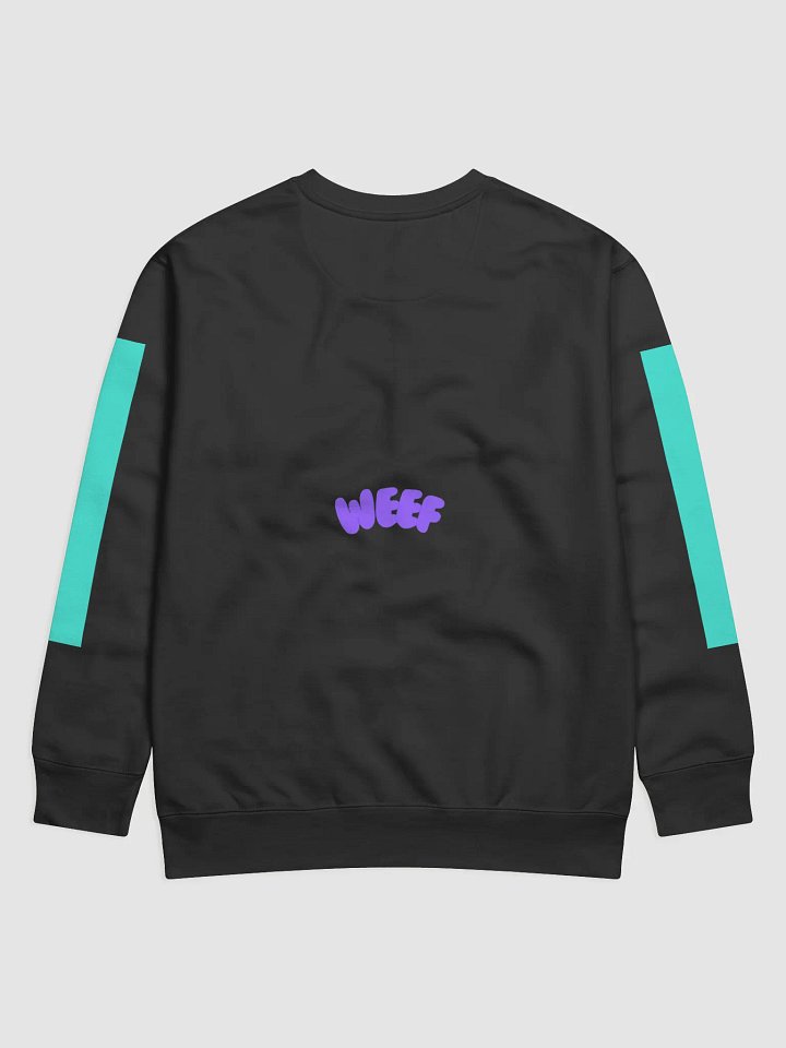 Black and Cyan Hoodie product image (2)
