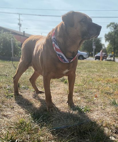 He strong. He dumb. He Tucker. ❤️